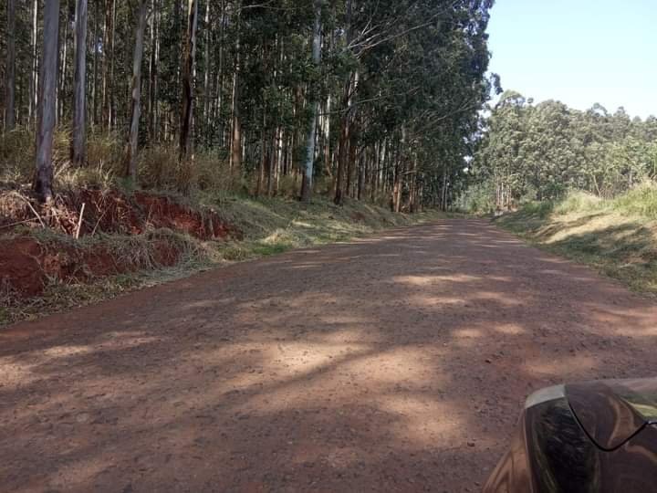 Fazenda-Sítio-Chácara, 800 hectares - Foto 4