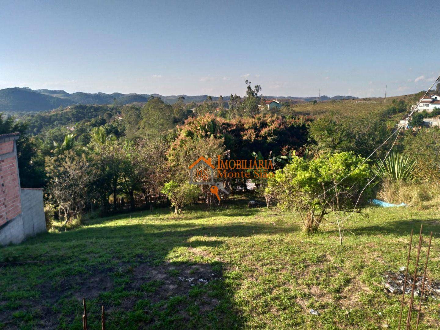 Chácara à venda com 1 quarto, 140M2 - Foto 15