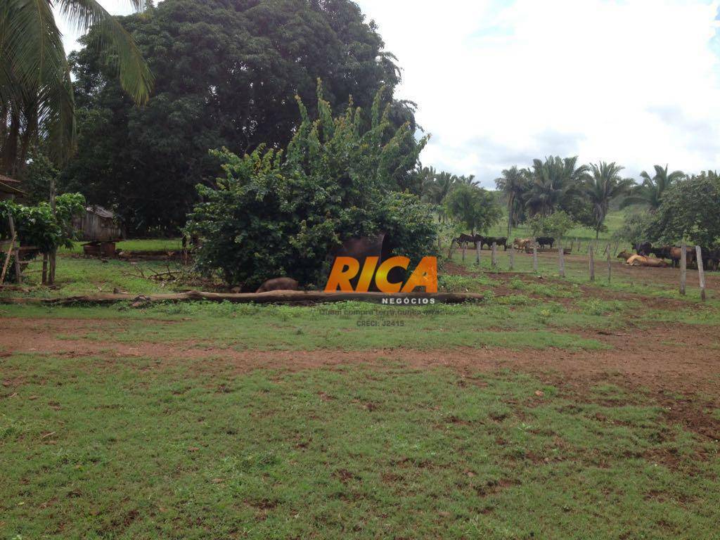 Fazenda à venda com 3 quartos, 1000000M2 - Foto 24