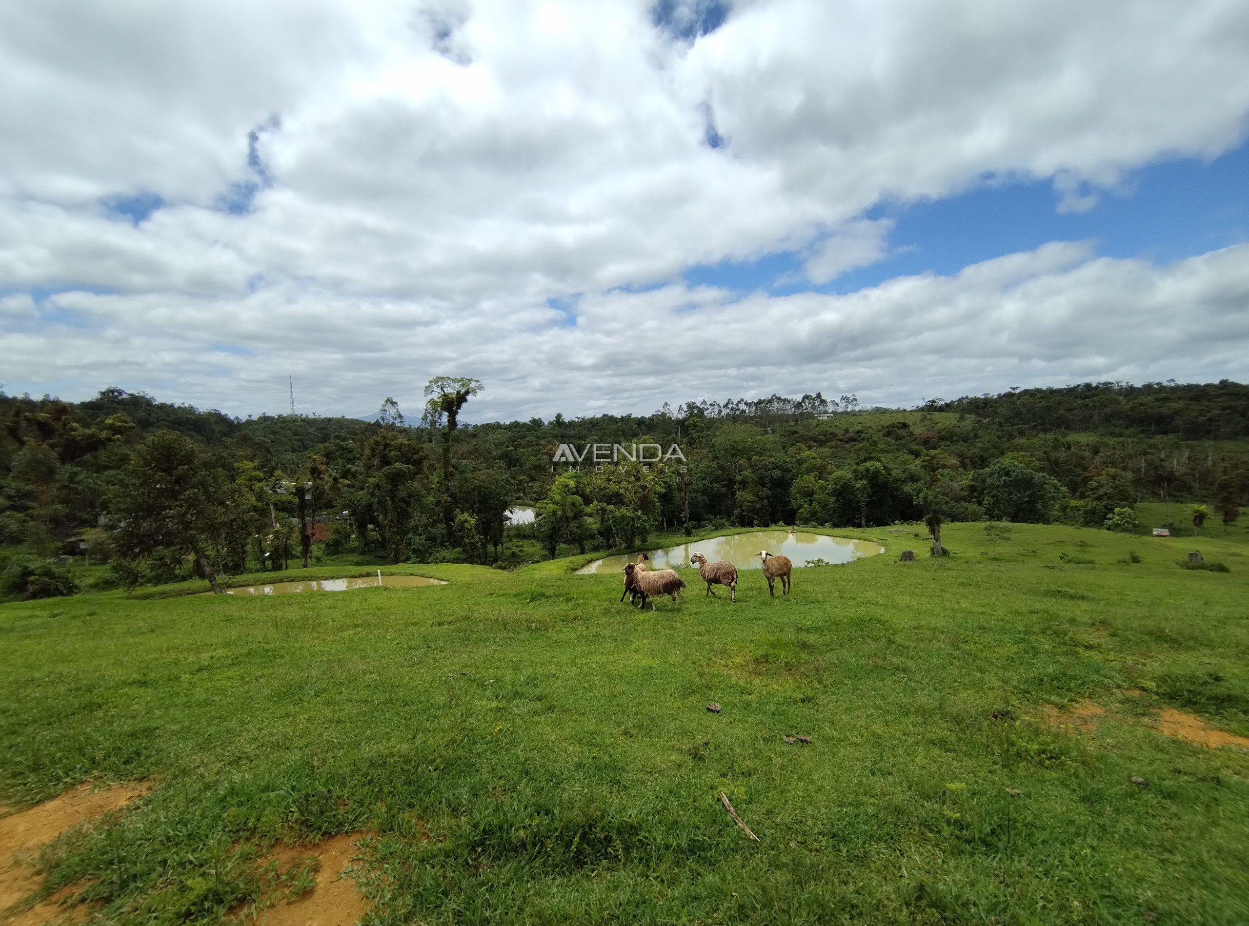 Fazenda à venda com 6 quartos, 208036m² - Foto 29