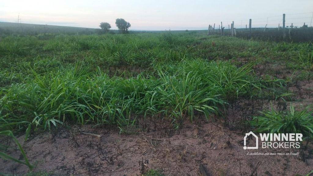 Fazenda, 930 hectares - Foto 4