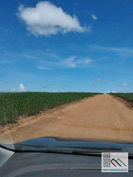 Fazenda à venda com 5 quartos, 500m² - Foto 6