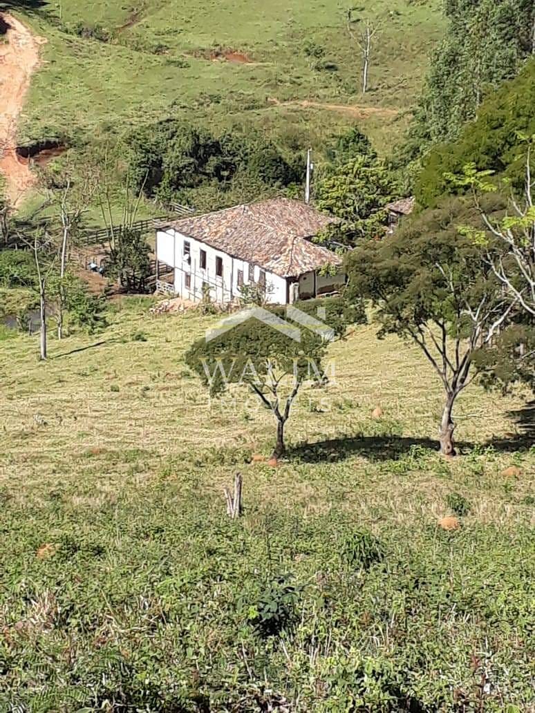 Fazenda-Sítio-Chácara, 75 hectares - Foto 2