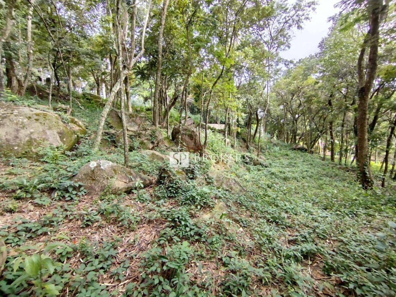 Loteamento e Condomínio à venda, 1925M2 - Foto 4