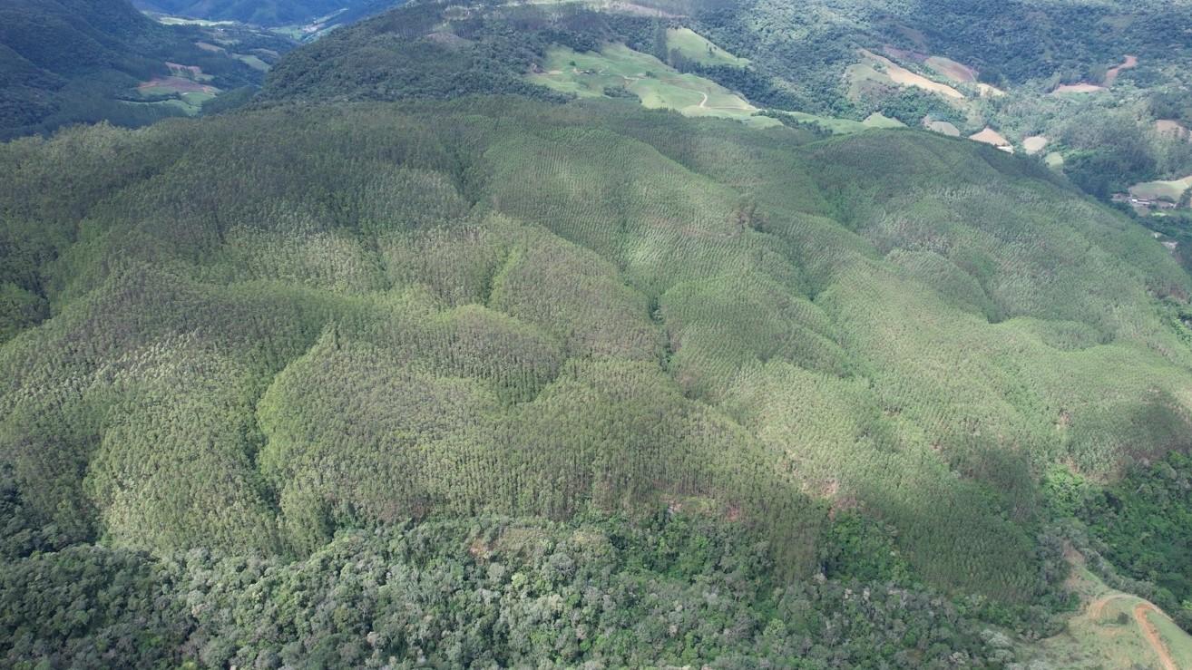 Fazenda à venda, 1564600m² - Foto 38