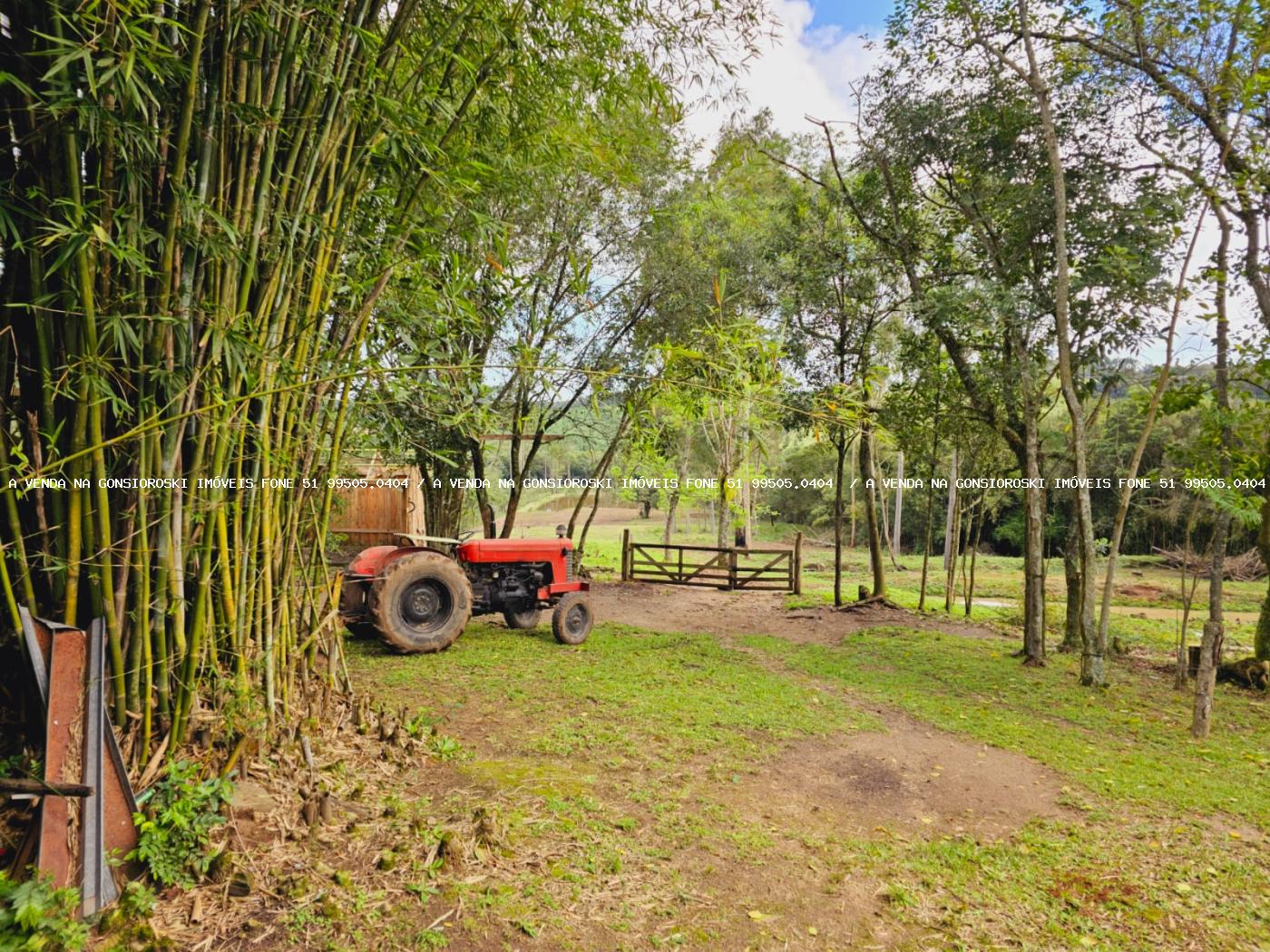 Sítio à venda, 30000m² - Foto 14