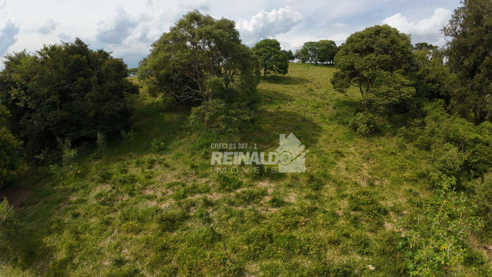 Loteamento e Condomínio, 2 hectares - Foto 2