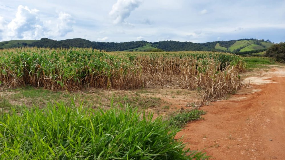 Fazenda à venda, 178m² - Foto 14