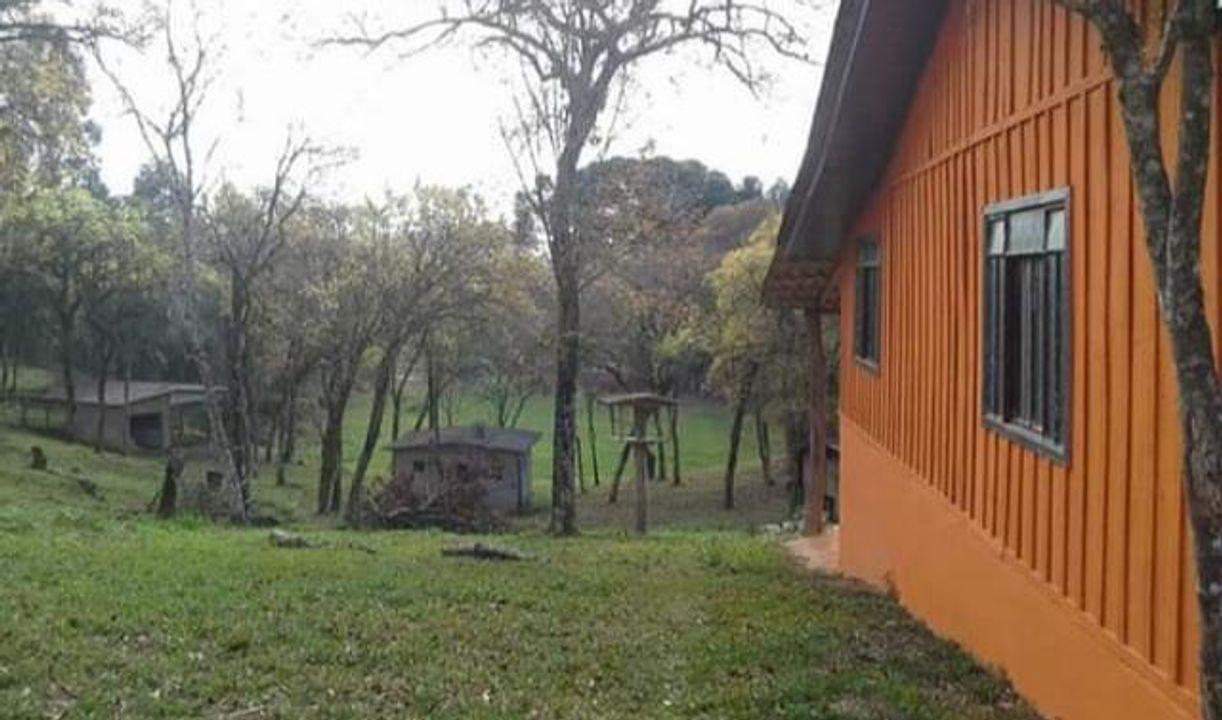 Fazenda à venda, 8291m² - Foto 7