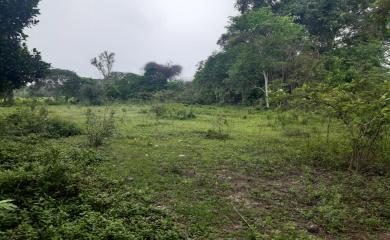 Fazenda à venda com 4 quartos, 15000m² - Foto 14