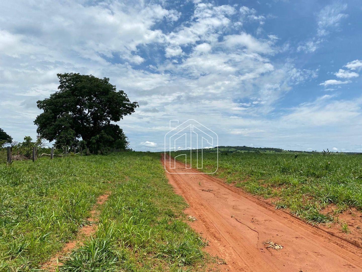 Fazenda à venda com 4 quartos, 40m² - Foto 6