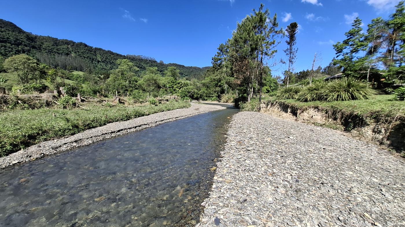 Fazenda à venda com 2 quartos, 8000m² - Foto 8