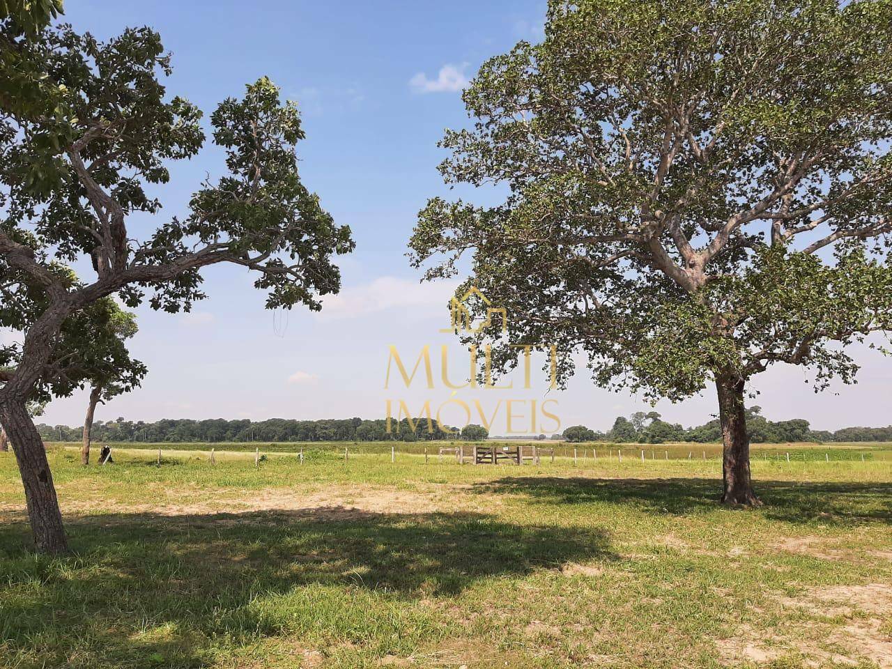 Fazenda à venda, 69510000M2 - Foto 5