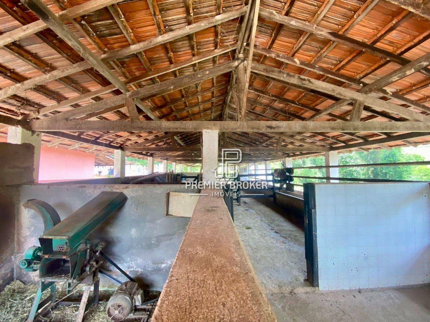 Fazenda à venda com 5 quartos, 300m² - Foto 54