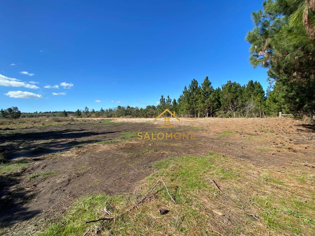 Terreno, 2 hectares - Foto 1