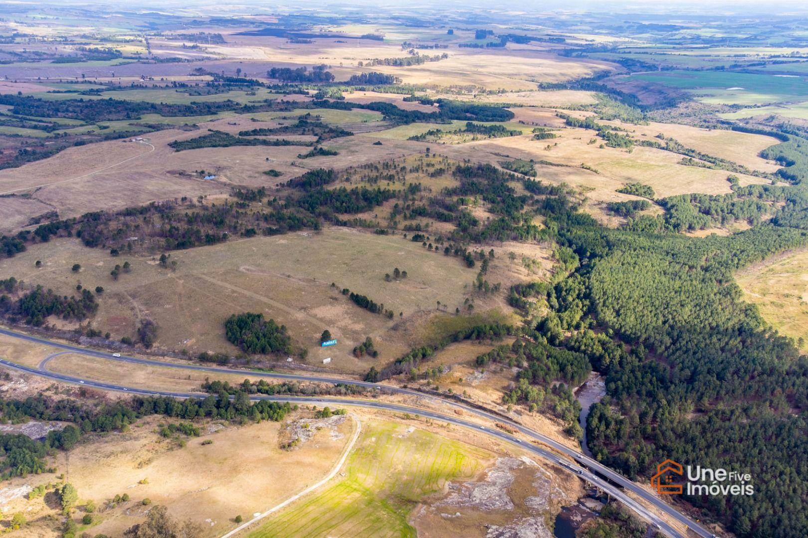 Terreno, 73 hectares - Foto 4