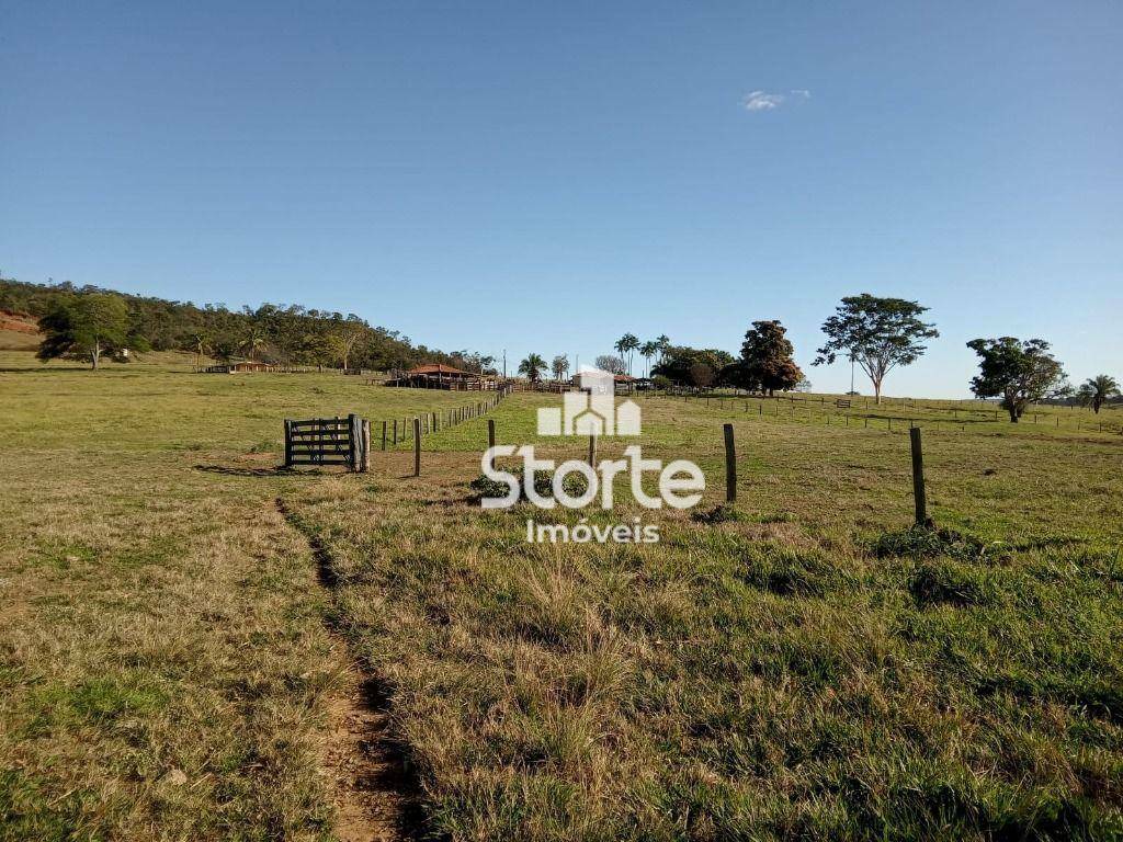 Fazenda à venda, 3242800M2 - Foto 17