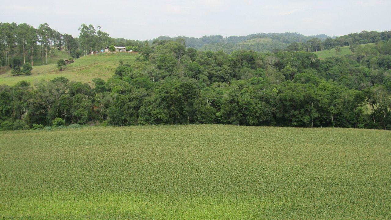 Loteamento e Condomínio à venda, 180000m² - Foto 19