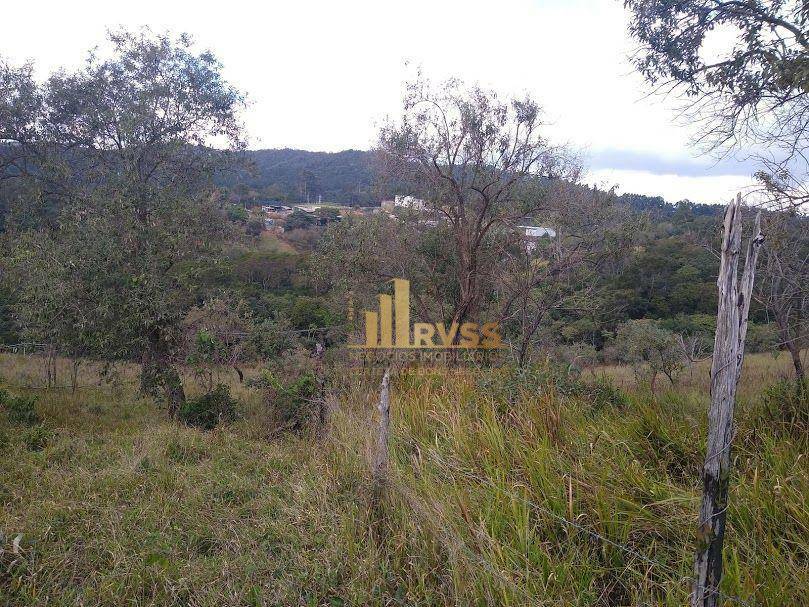 Terreno à venda, 618047M2 - Foto 41