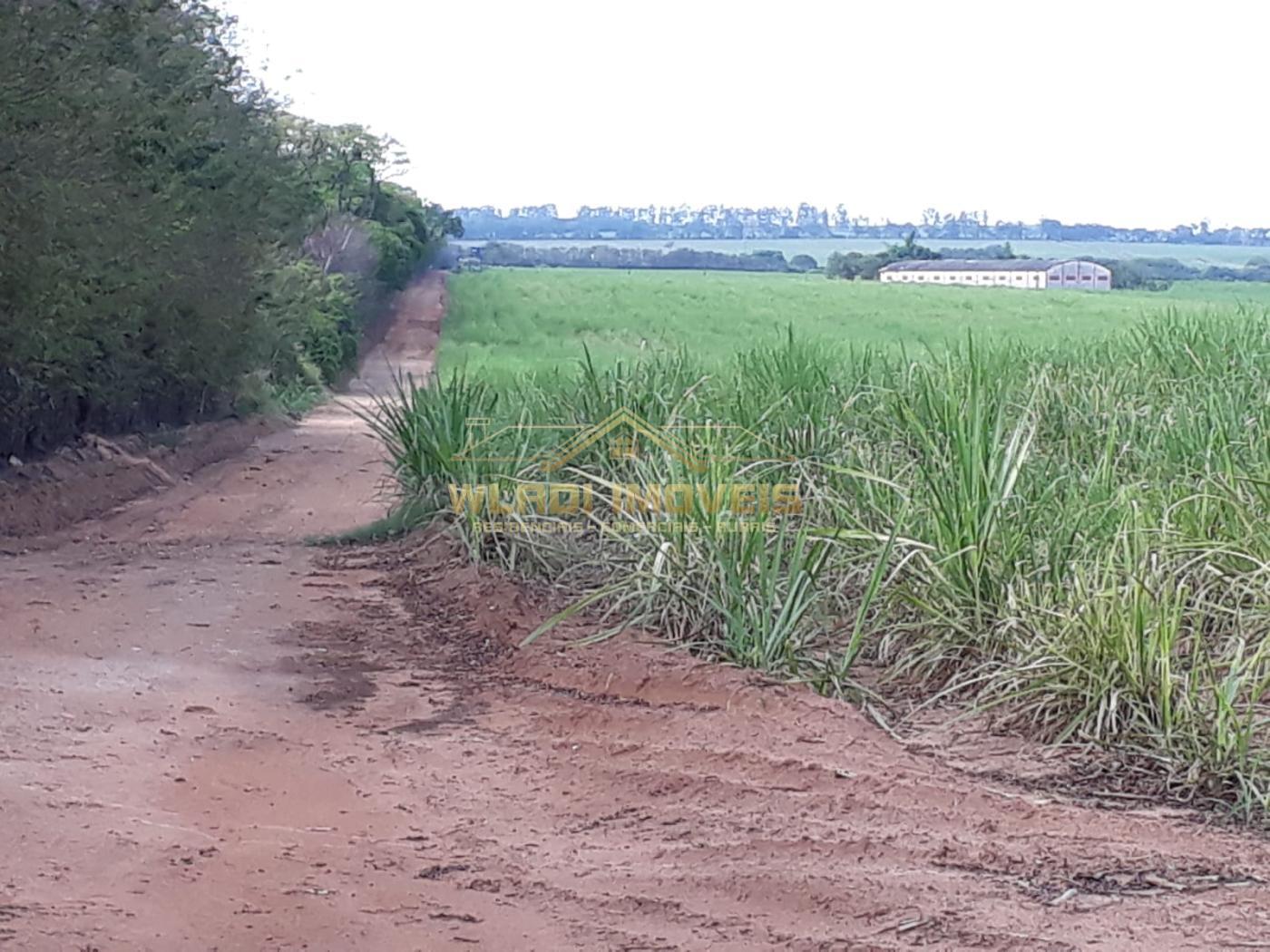 Fazenda à venda, 120m² - Foto 13