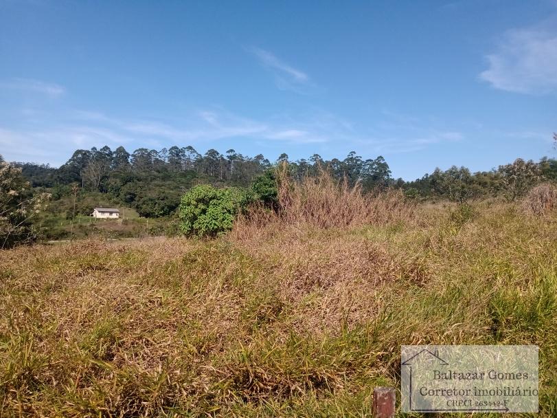 Fazenda à venda com 3 quartos, 5m² - Foto 12