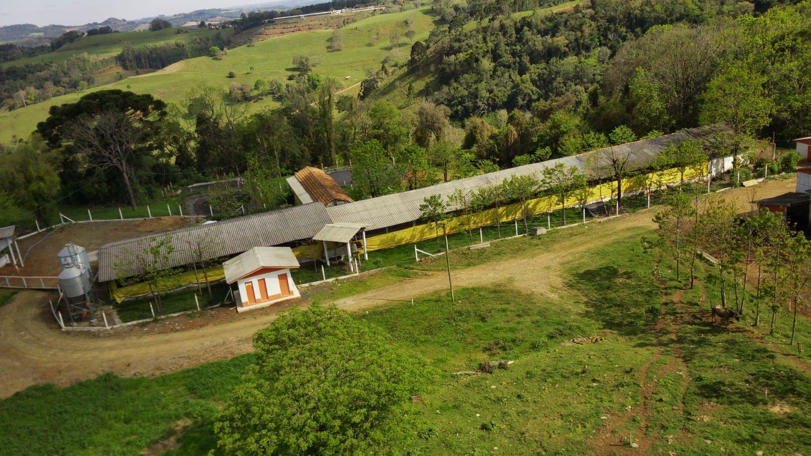 Fazenda à venda, 133000m² - Foto 14