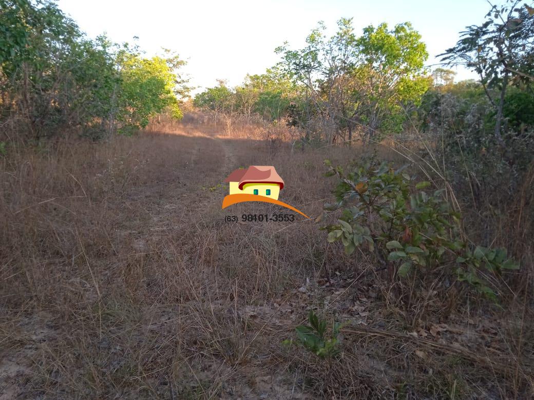 Fazenda à venda, 1m² - Foto 17