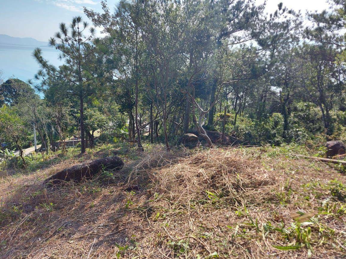 Terreno à venda, 2000M2 - Foto 9