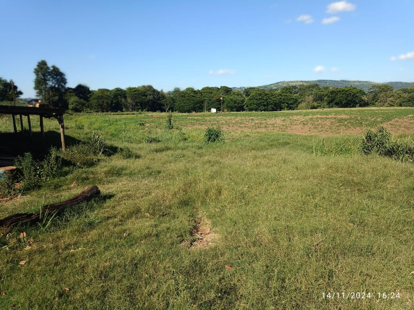 Fazenda à venda, 81160m² - Foto 12