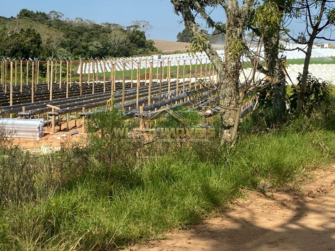 Fazenda-Sítio-Chácara, 70 m² - Foto 15