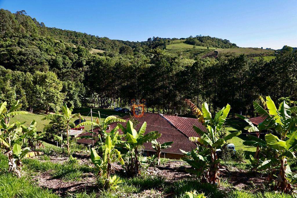Sítio à venda com 19 quartos, 1859m² - Foto 248