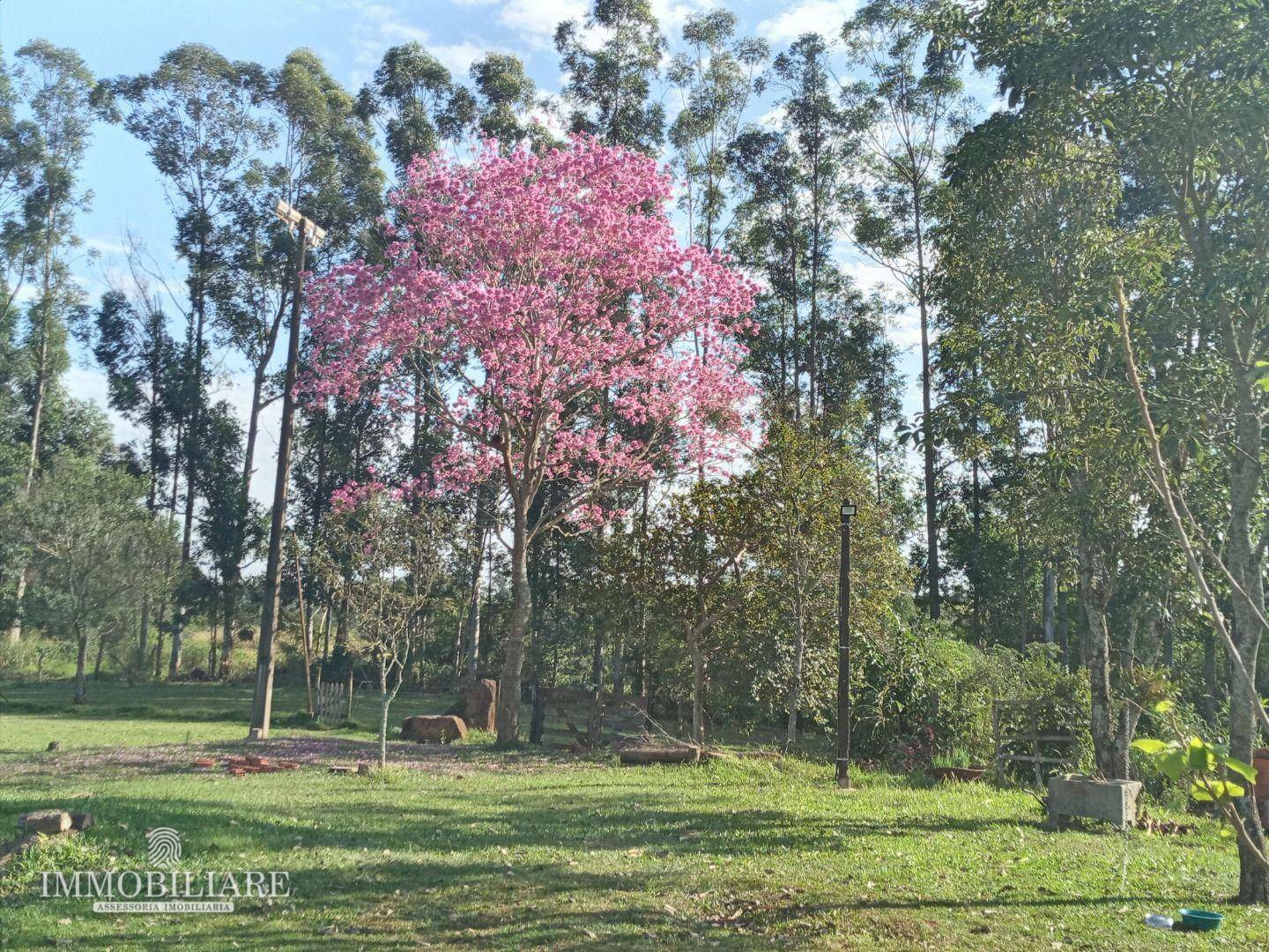 Chácara à venda com 5 quartos, 22610M2 - Foto 10