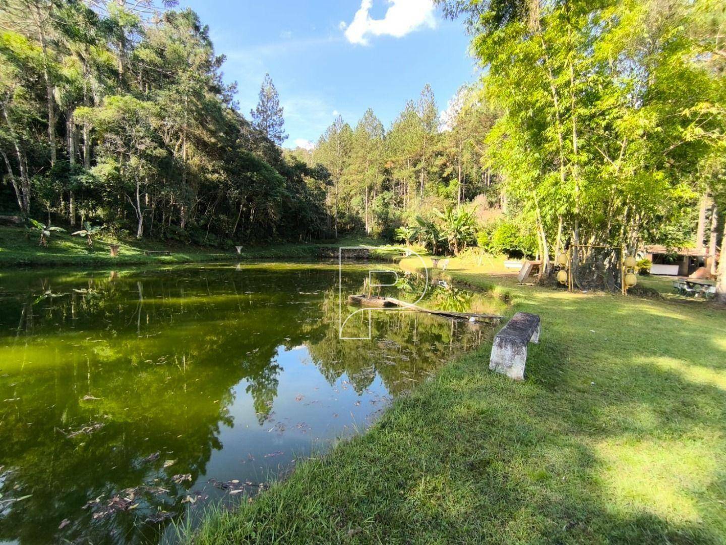 Terreno à venda, 75000M2 - Foto 7