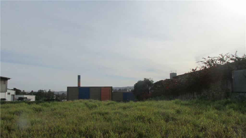 Terreno para alugar, 3400m² - Foto 3