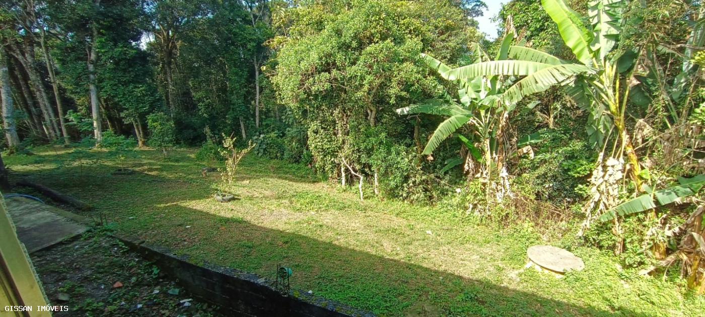 Fazenda à venda com 2 quartos, 4000m² - Foto 4