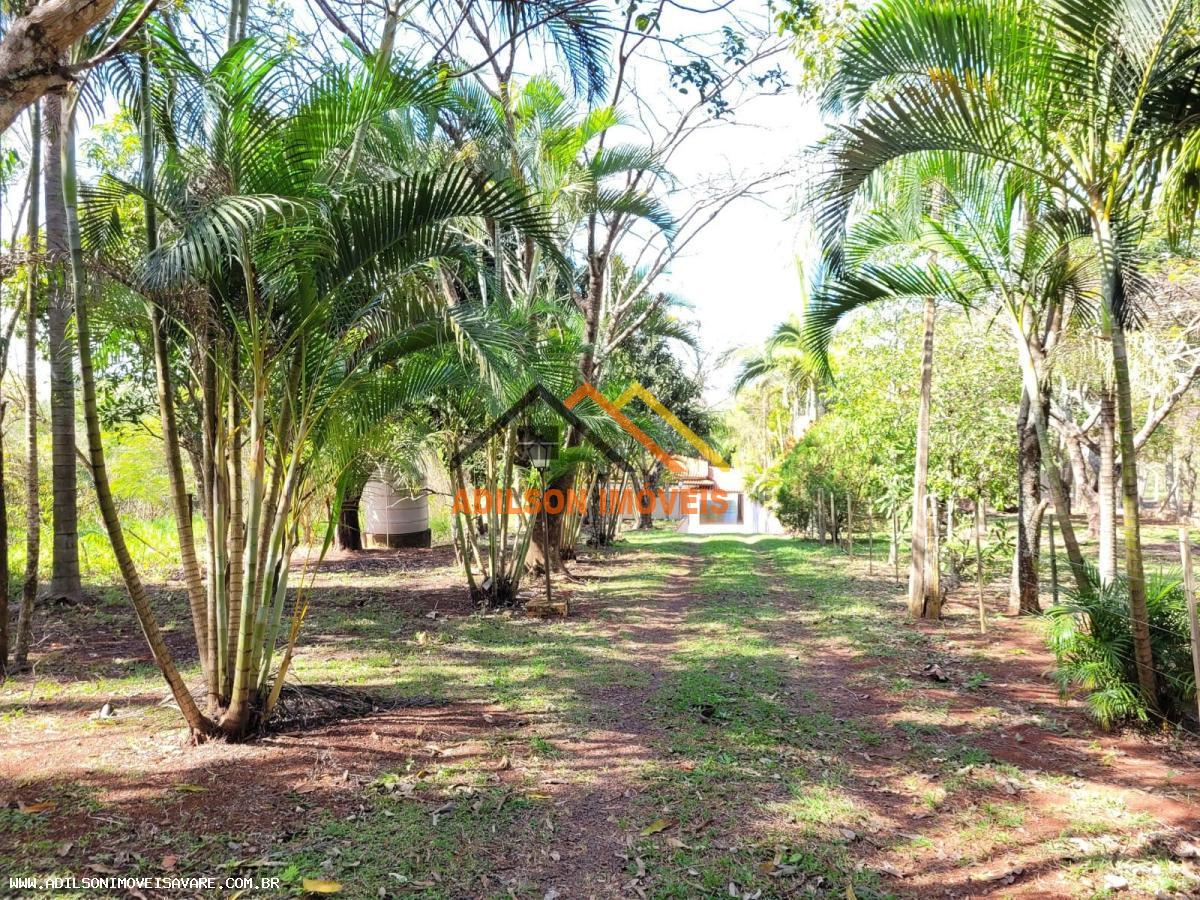 Fazenda à venda com 3 quartos, 2800m² - Foto 10