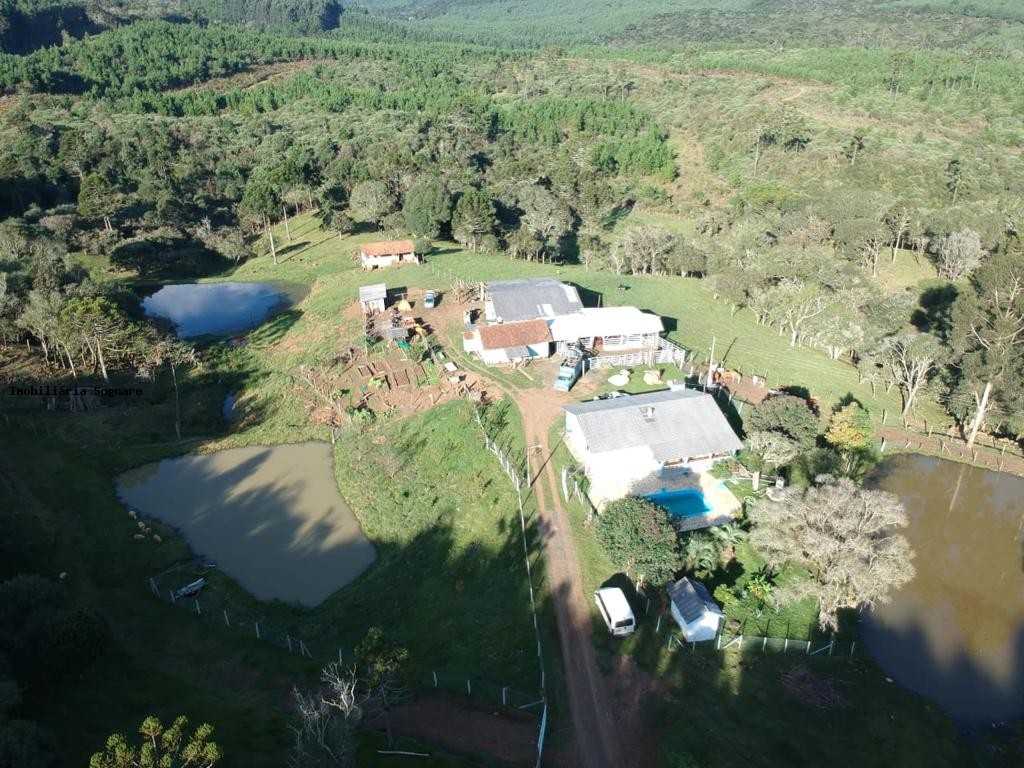Terreno à venda - Foto 5