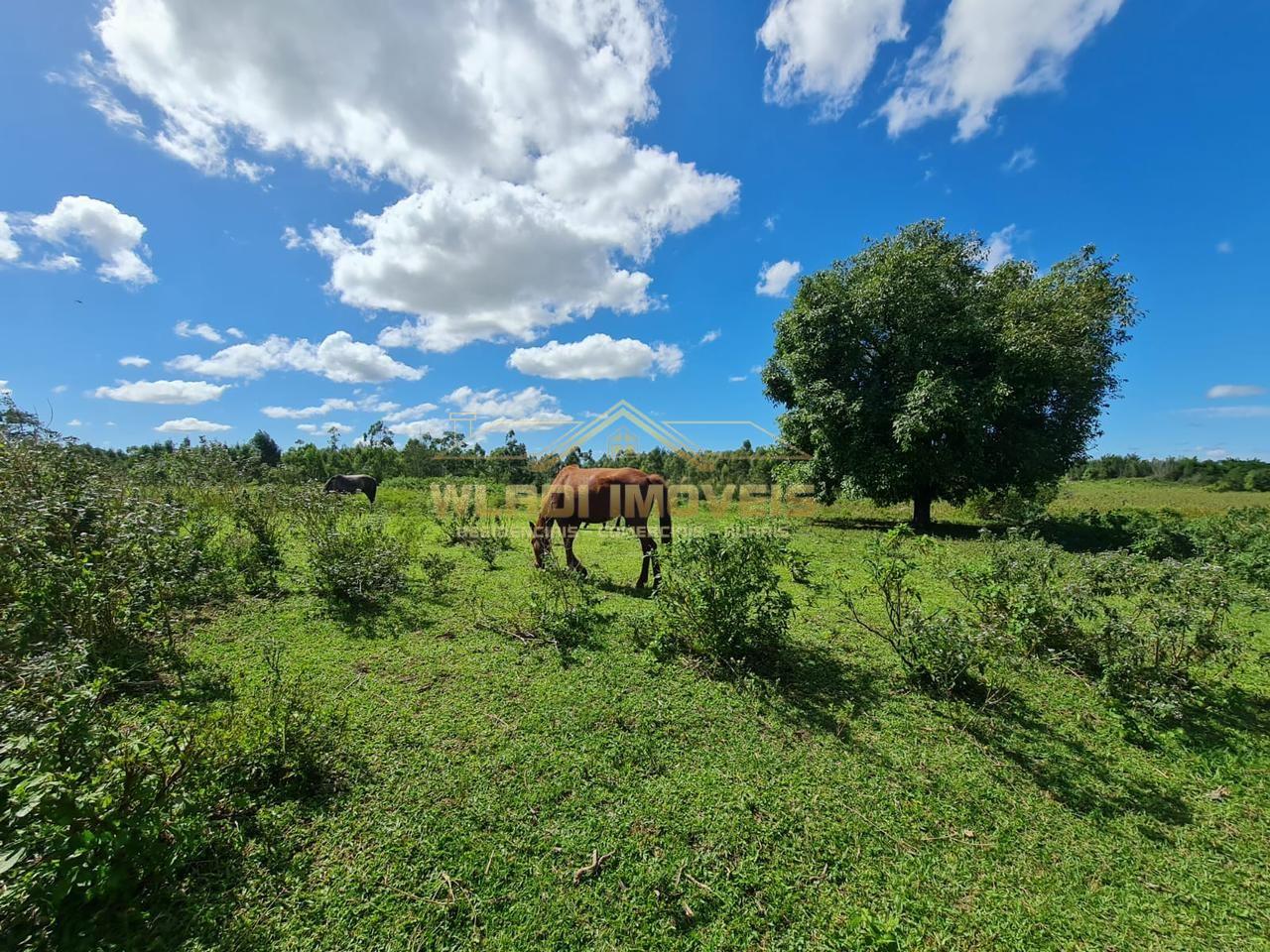 Fazenda à venda, 52m² - Foto 33