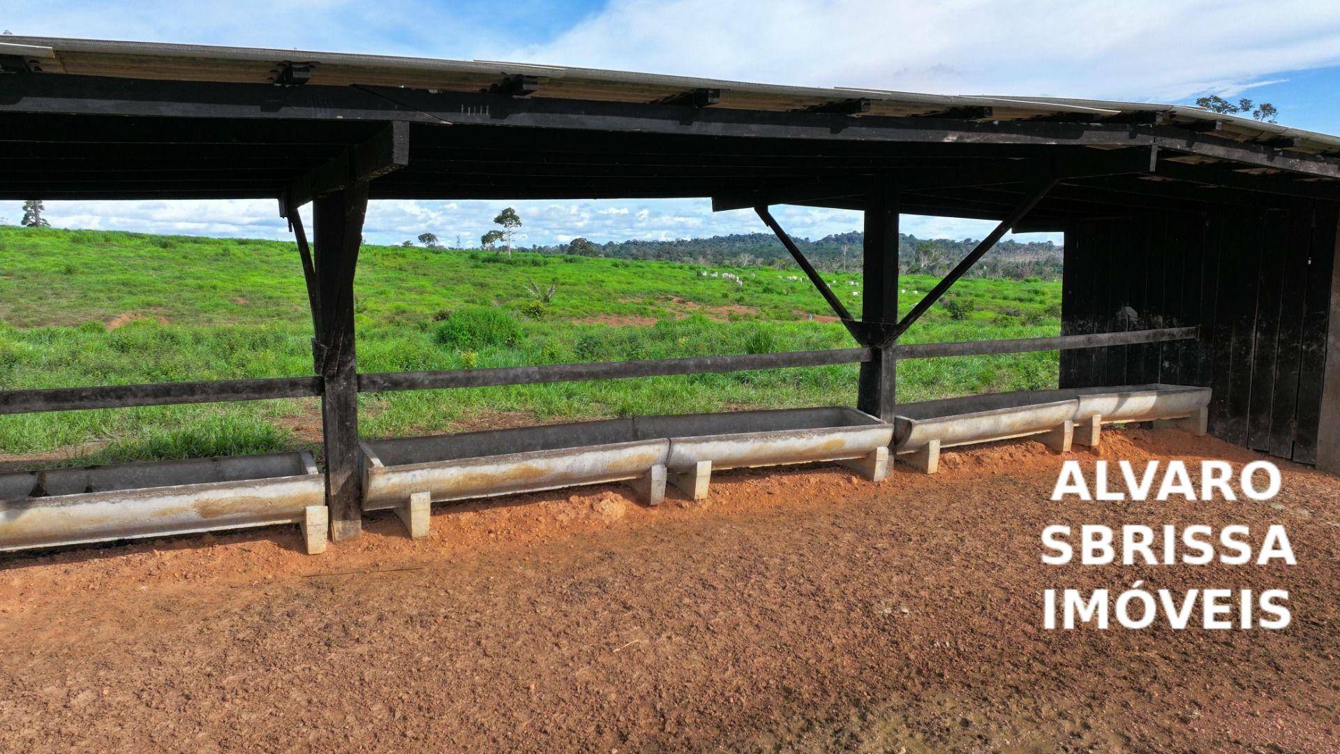 Fazenda-Sítio-Chácara, 1888 hectares - Foto 2