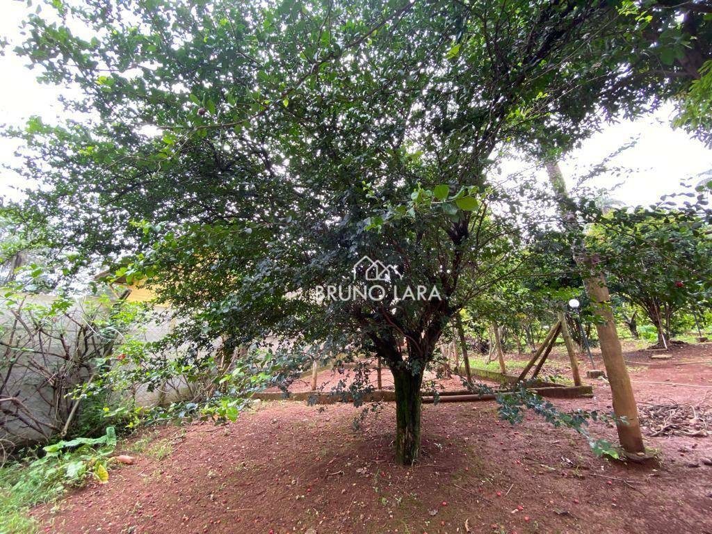 Sítio à venda com 5 quartos, 500m² - Foto 15