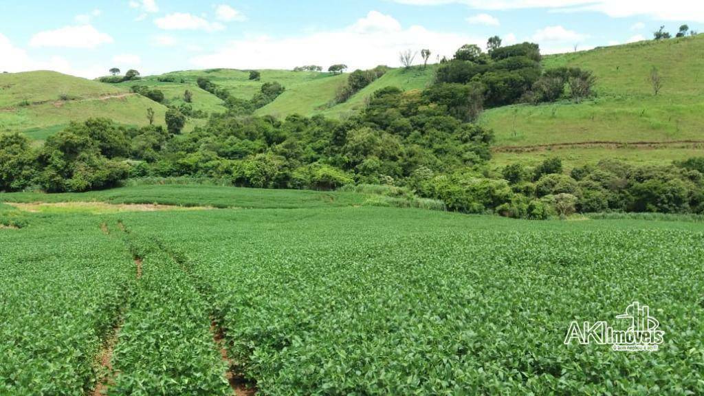 Fazenda à venda com 1 quarto, 2819300M2 - Foto 12