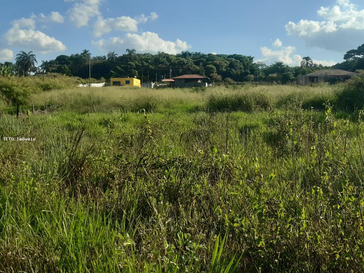 Fazenda à venda com 2 quartos, 10000m² - Foto 28