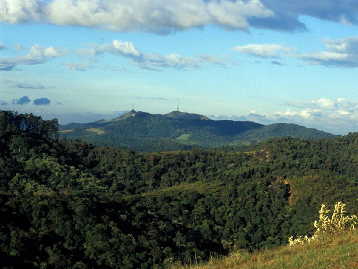 Terreno à venda, 490m² - Foto 15