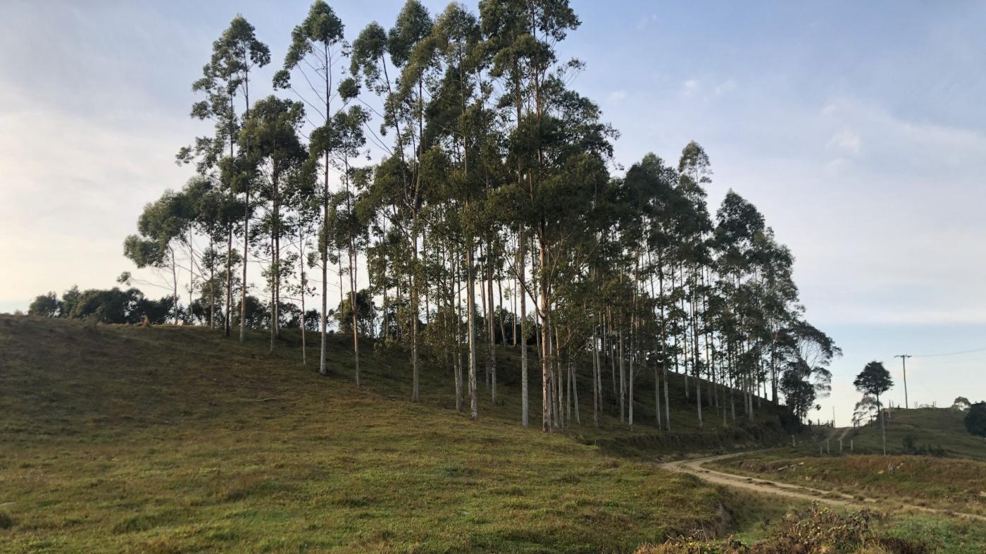 Fazenda à venda com 2 quartos, 862000m² - Foto 31