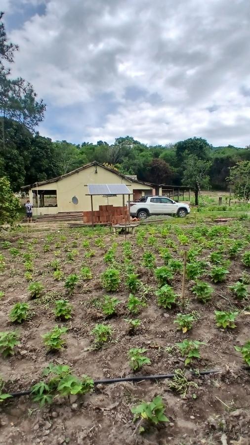 Fazenda à venda com 2 quartos, 31000m² - Foto 2