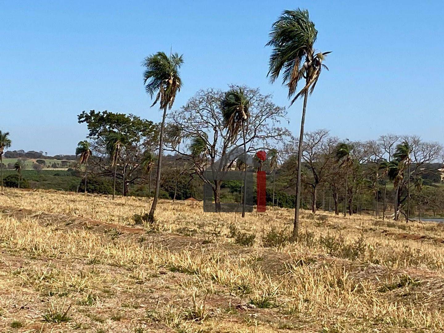 Sítio à venda com 3 quartos, 283140M2 - Foto 2