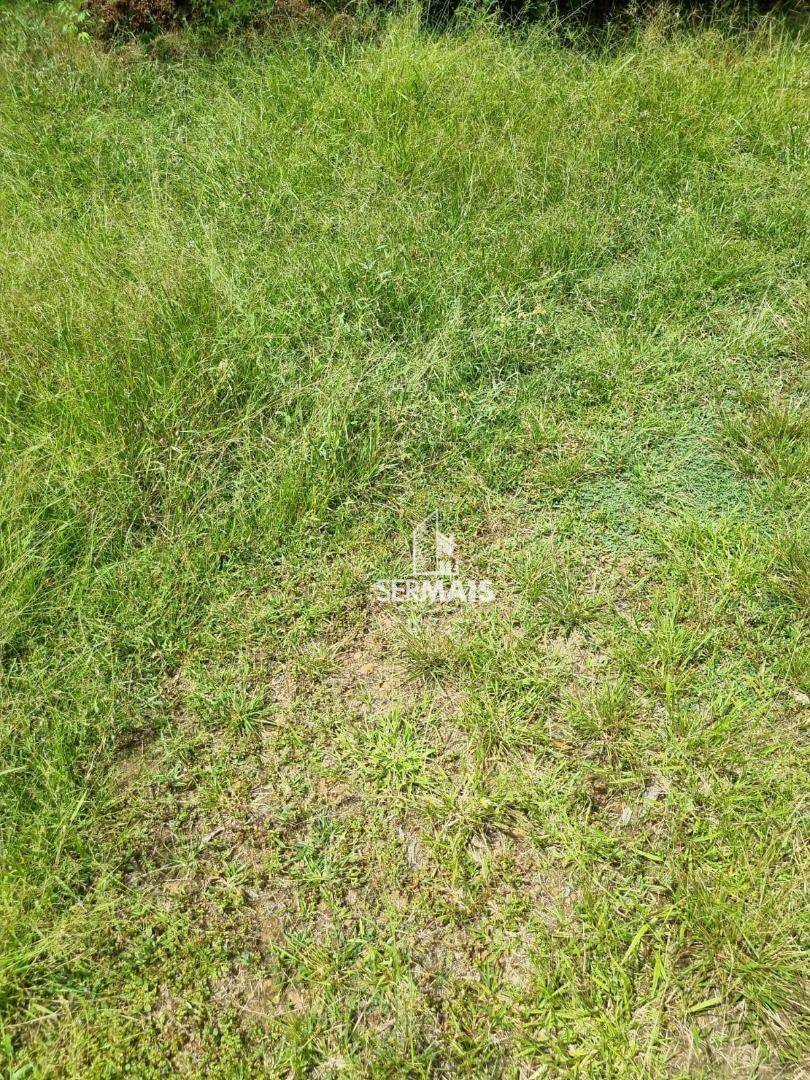 Chácara à venda, 6000M2 - Foto 10