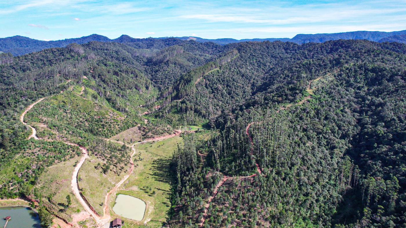 Fazenda à venda com 4 quartos, 4140000m² - Foto 16