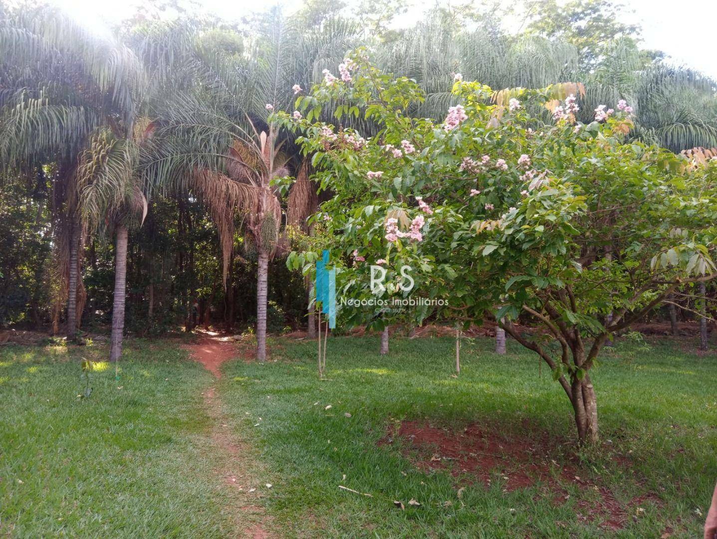 Fazenda à venda com 3 quartos, 250M2 - Foto 40