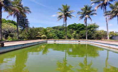 Fazenda à venda com 3 quartos, 8000m² - Foto 2